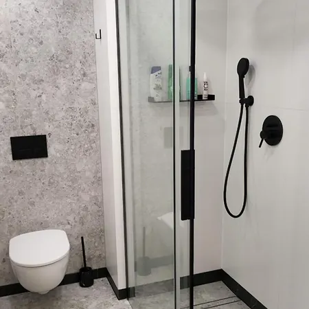 Lägenhet Old Town Apartment, Starowislna