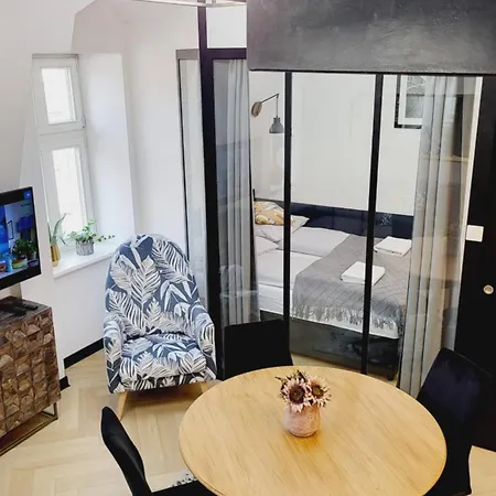 Old Town Apartment, Starowislna