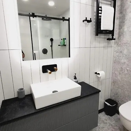 Daire Old Town Apartment, Starowislna Krakow